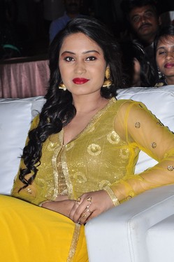 Veeri Veeri Gummadi Pandu Movie Audio Launch